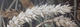 "Plenty" 10x30