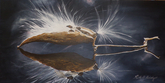 "Reflect Softness" 12x24