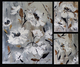 "Remembrance" 16x20, 8x10, 3x10 (Triptych)
