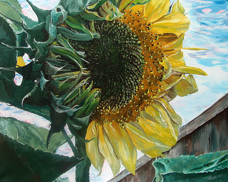 Unfolding 20x16